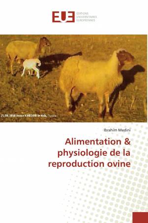 Alimentation &amp; physiologie de la reproduction ovine