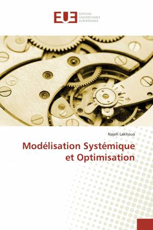 Modélisation Systémique et Optimisation