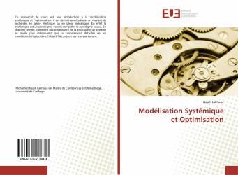 Modélisation Systémique et Optimisation