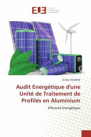 Audit Energétique d&#039;une Unité de Traitement de Profilés en Aluminium