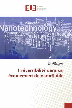 Irréversibilité dans un écoulement de nanofluide