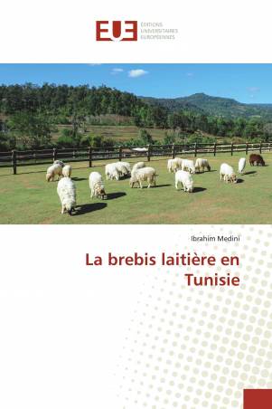 La brebis laitière en Tunisie