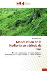 Modélisation de la Medjerda en période de crue