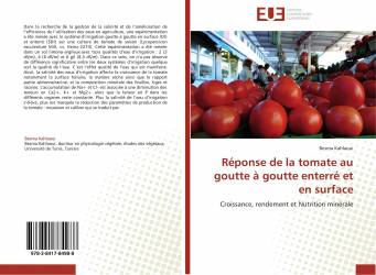 Réponse de la tomate au goutte à goutte enterré et en surface