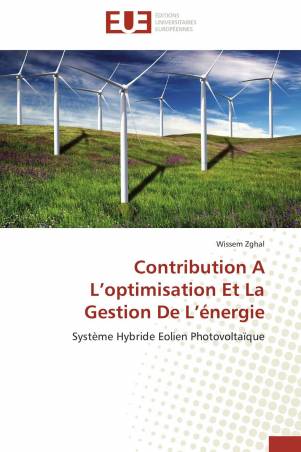 Contribution A L’optimisation Et La Gestion De L’énergie