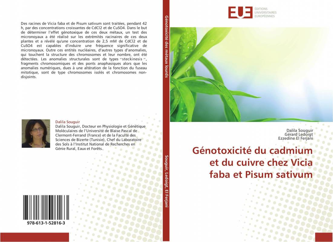 Génotoxicité du cadmium et du cuivre chez Vicia faba et Pisum sativum