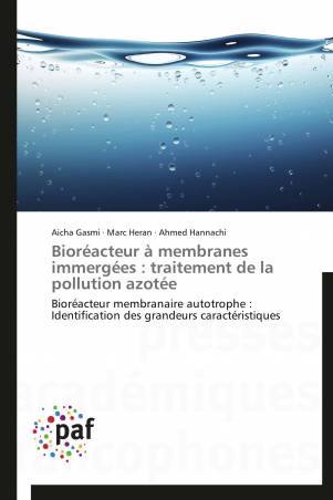 Bioréacteur à membranes immergées : traitement de la pollution azotée