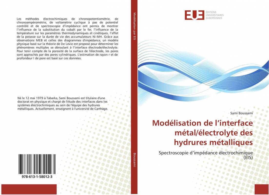 Modélisation de l’interface métal/électrolyte des hydrures métalliques