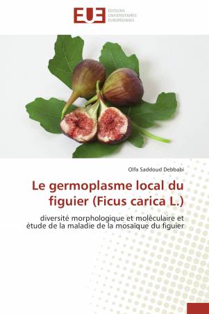 Le germoplasme local du figuier (Ficus carica L.)