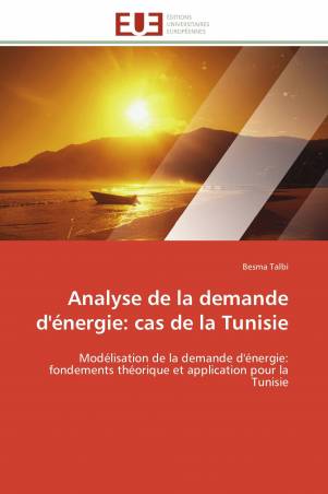 Analyse de la demande d&#039;énergie: cas de la Tunisie