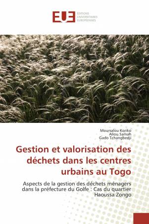 Gestion et valorisation des déchets dans les centres urbains au Togo