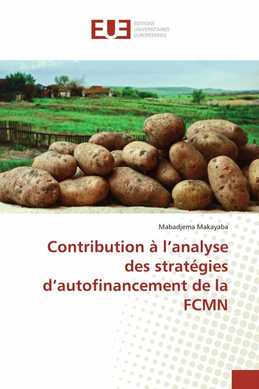 Contribution à l’analyse des stratégies d’autofinancement de la FCMN