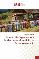 Non-Profit Organisations in the promotion of Social Entrepreneurship