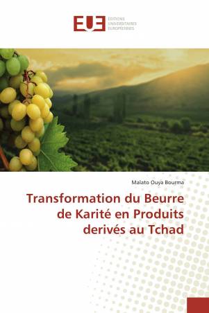 Transformation du Beurre de Karité en Produits derivés au Tchad