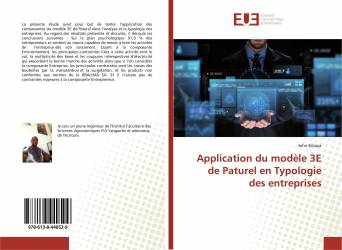 Application du modèle 3E de Paturel en Typologie des entreprises