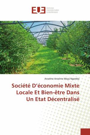 Société D’économie Mixte Locale Et Bien-être Dans Un Etat Décentralisé