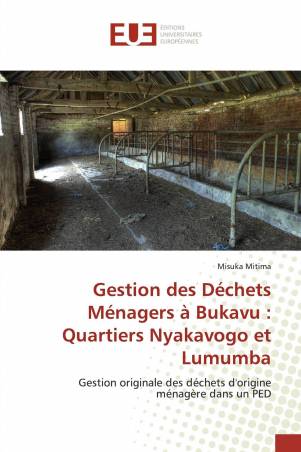 Gestion des Déchets Ménagers à Bukavu : Quartiers Nyakavogo et Lumumba