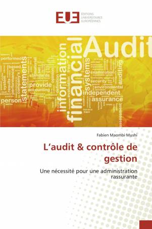 L’audit &amp; contrôle de gestion