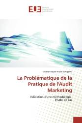 La Problématique de la Pratique de l'Audit Marketing