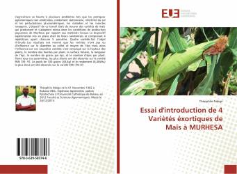 Essai d'introduction de 4 Variètés éxortiques de Maïs à MURHESA