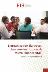 L’organisation du travail dans une Institution de Micro-Finance (IMF)