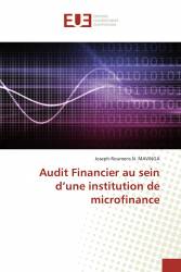 Audit Financier au sein d’une institution de microfinance