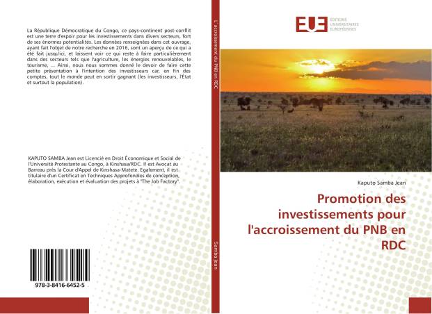Promotion des investissements pour l'accroissement du PNB en RDC