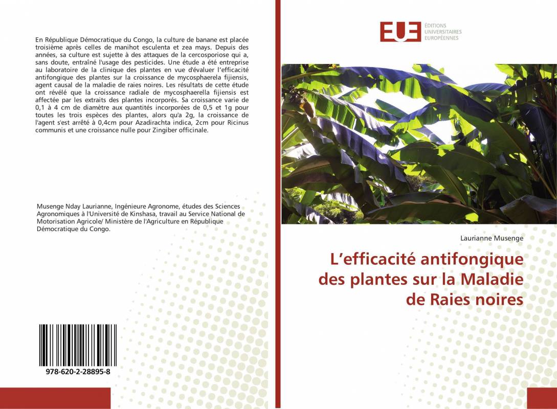 L’efficacité antifongique des plantes sur la Maladie de Raies noires