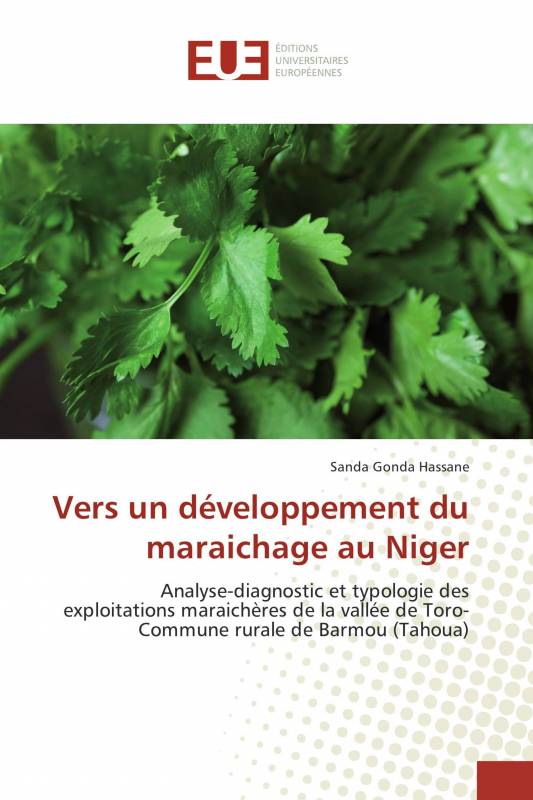 Vers un développement du maraichage au Niger