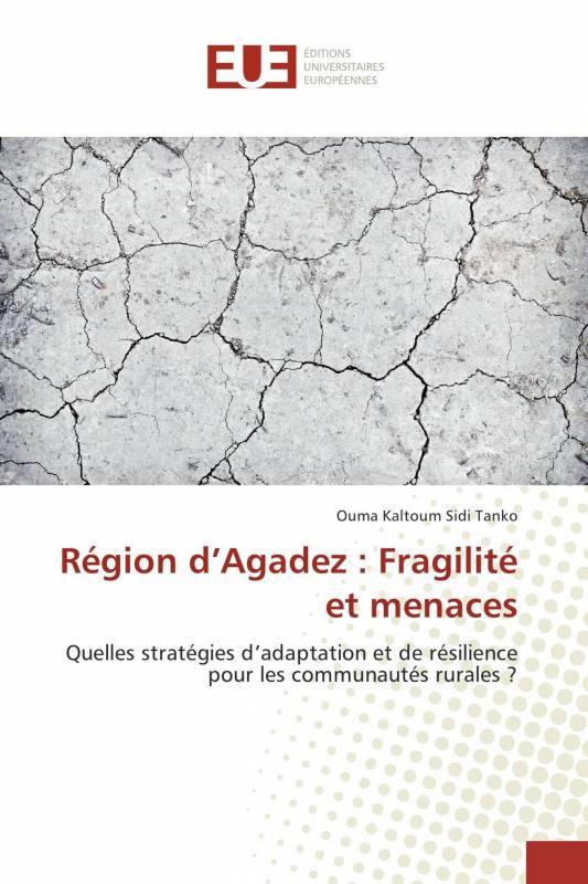 Région d’Agadez : Fragilité et menaces