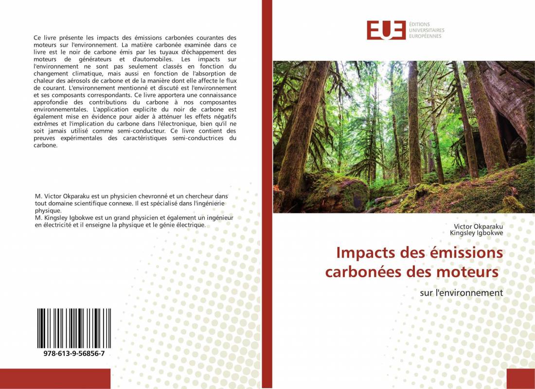 Impacts des émissions carbonées des moteurs