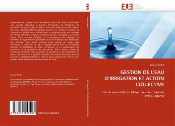 GESTION DE L'EAU D'IRRIGATION ET ACTION COLLECTIVE