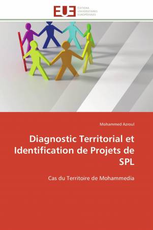 Diagnostic Territorial et Identification de Projets de SPL