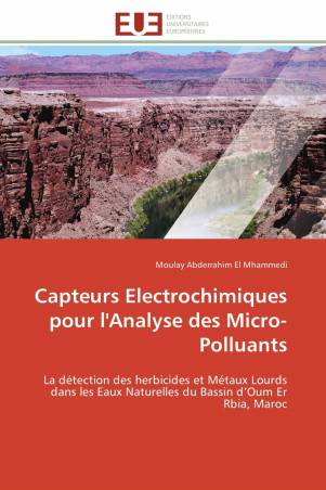Capteurs Electrochimiques pour l&#039;Analyse des Micro-Polluants