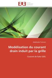 Modélisation du courant drain induit par la grille