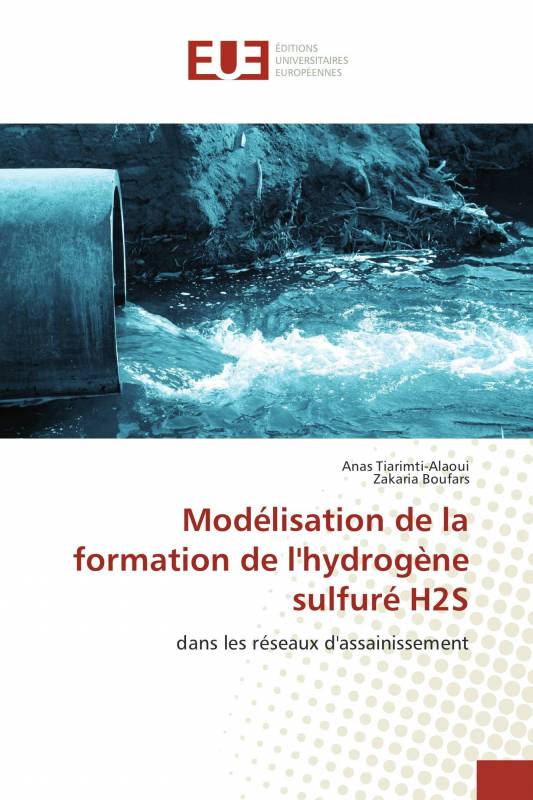 Modélisation de la formation de l'hydrogène sulfuré H2S