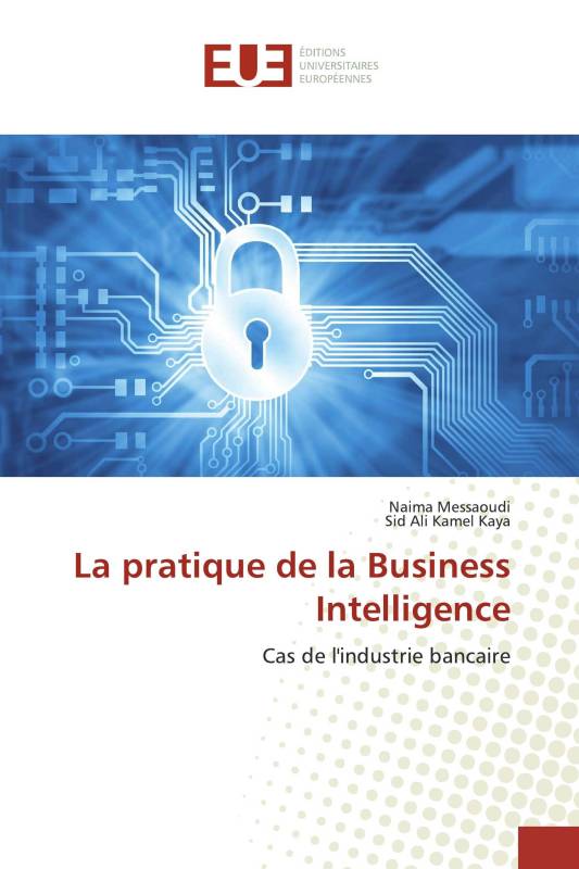 La pratique de la Business Intelligence