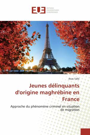 Jeunes délinquants d'origine maghrébine en France