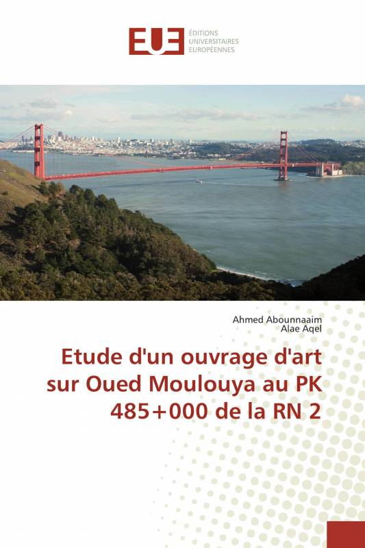 Etude d'un ouvrage d'art sur Oued Moulouya au PK 485+000 de la RN 2