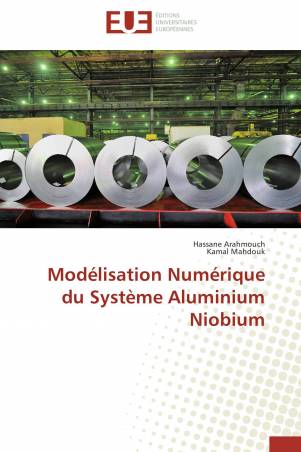 Modélisation Numérique du Système Aluminium Niobium