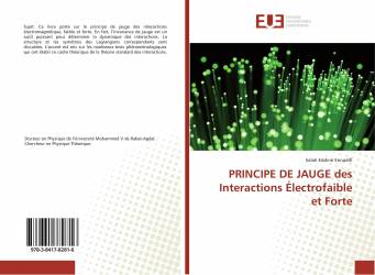 PRINCIPE DE JAUGE des Interactions Électrofaible et Forte