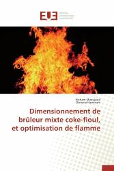 Dimensionnement de brûleur mixte coke-fioul, et optimisation de flamme