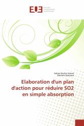 Elaboration d'un plan d'action pour réduire SO2 en simple absorption