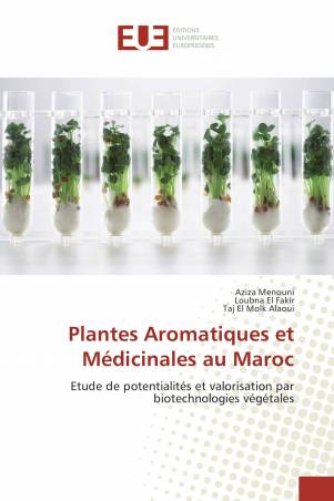 Plantes Aromatiques et Médicinales au Maroc