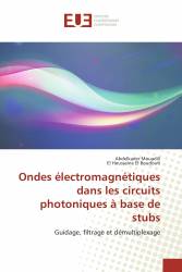 Ondes électromagnétiques dans les circuits photoniques à base de stubs