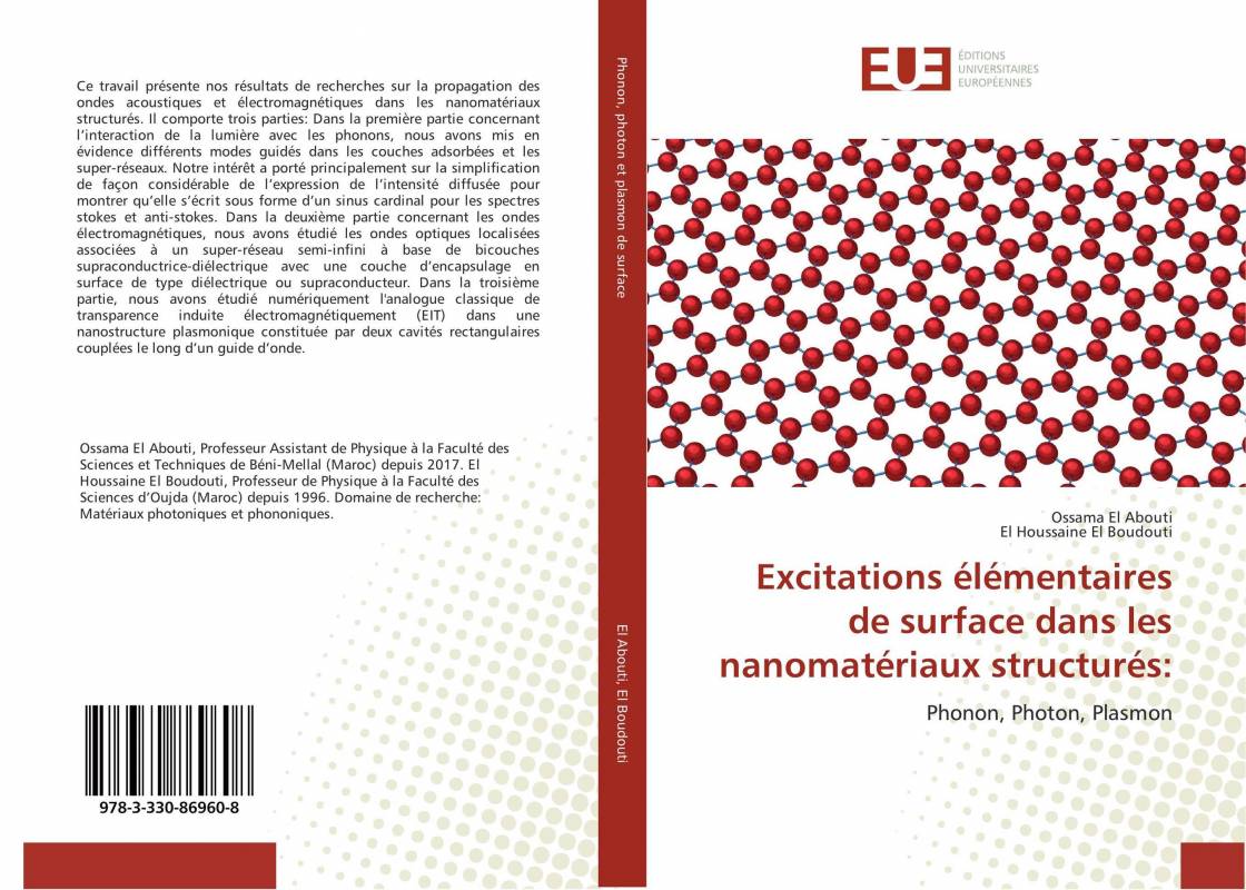 Excitations élémentaires de surface dans les nanomatériaux structurés: