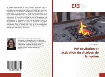 Pré-oxydation et activation du charbon de la lignine