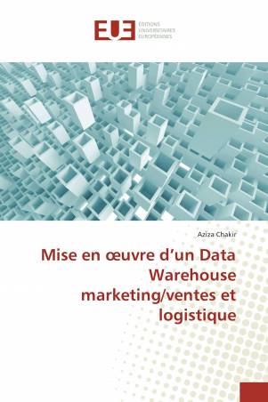 Mise en œuvre d’un Data Warehouse marketing/ventes et logistique