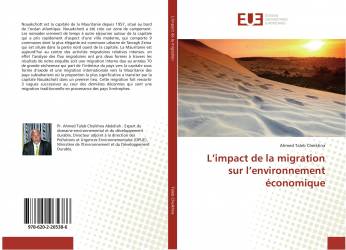L’impact de la migration sur l’environnement économique