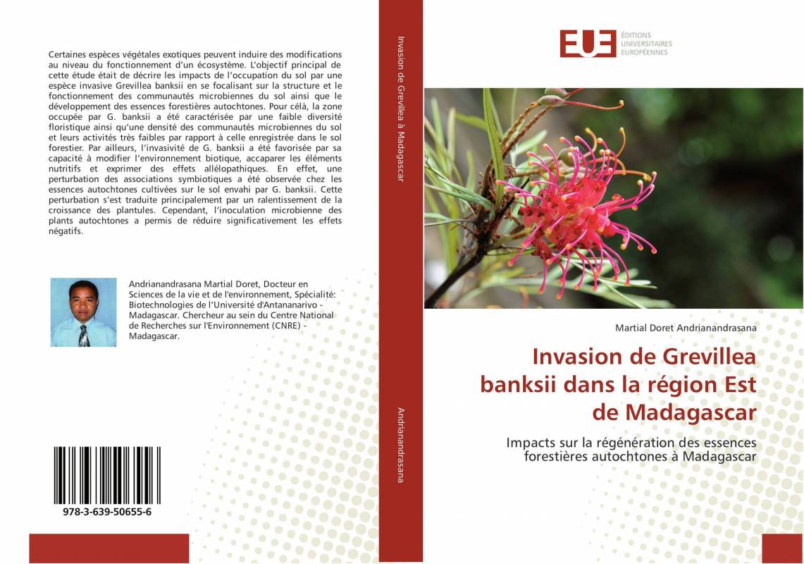 Invasion de Grevillea banksii dans la région Est de Madagascar